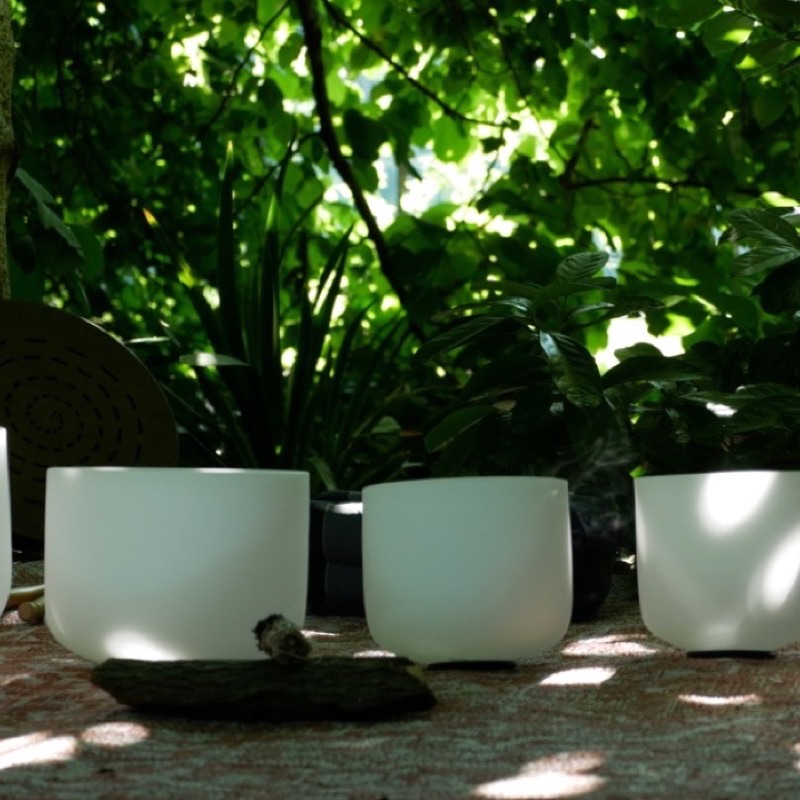 Bowls glowing in a woodland clearing